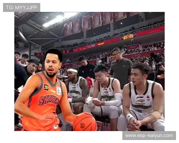 辽宁男篮连签布罗金顿和哈维两名小外援,冲击季后赛 辽宁男篮连签布罗金顿和哈维两名小外援,冲击季后赛